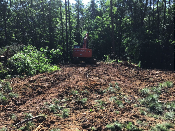 INNSBROOK DEBRIS REMOVAL – RICHMOND, VA – SITE CLEAN UP & E/S CONTROL